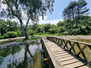 Noshahr Ecobiology and Botanical garden