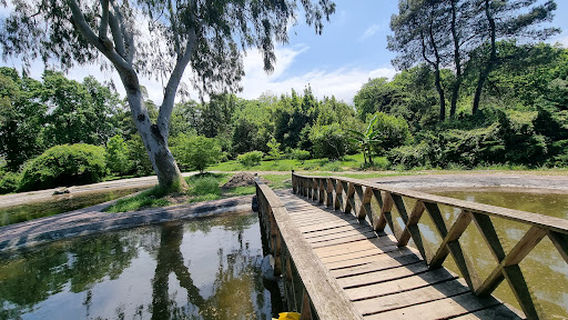 Noshahr Ecobiology and Botanical garden