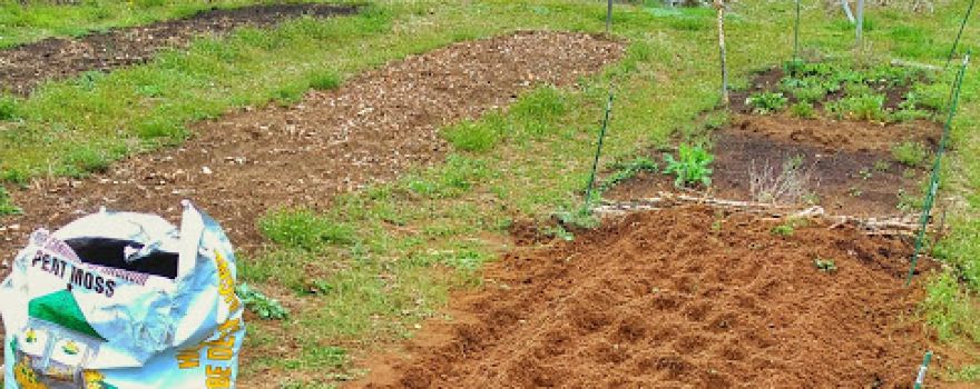 Little Silver Community Gardens