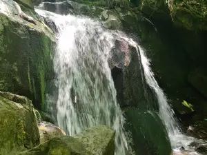 Водопад / Waterfall