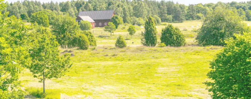 Svankila