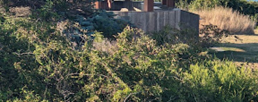 오션 뷰 파빌리온