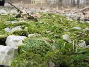 Baltimore Bend Conservation Area
