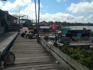 Mawan AROWANA
