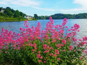 Maison Pêche et Nature des Côtes D'armor