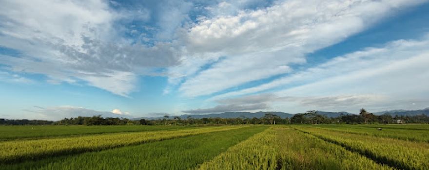 Pedaran Village Sunrise And Sunset Area