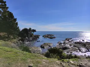 Purema Beach