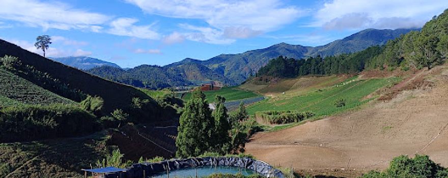 Mirador Constanza