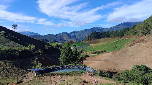 Mirador Constanza