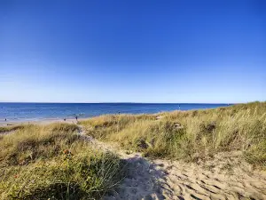 Lerbergets Camping