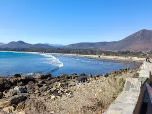 Pichidangui Expediciones