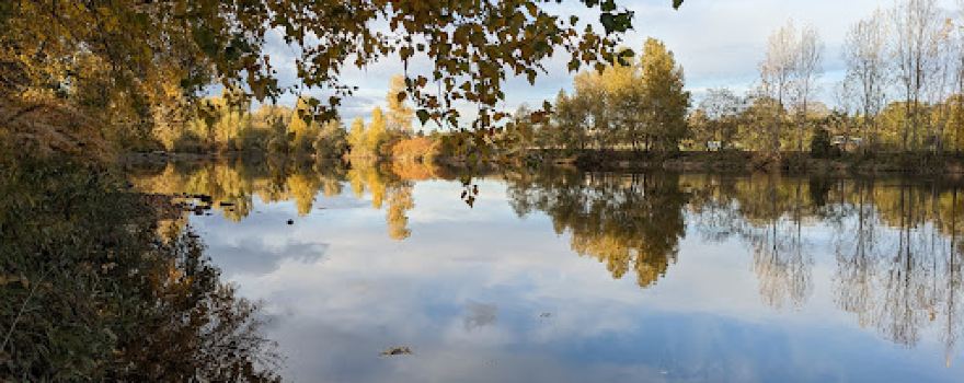 FOREZ AVENTURES :: Accrobranche & Explor Games® sur les bords de Loire