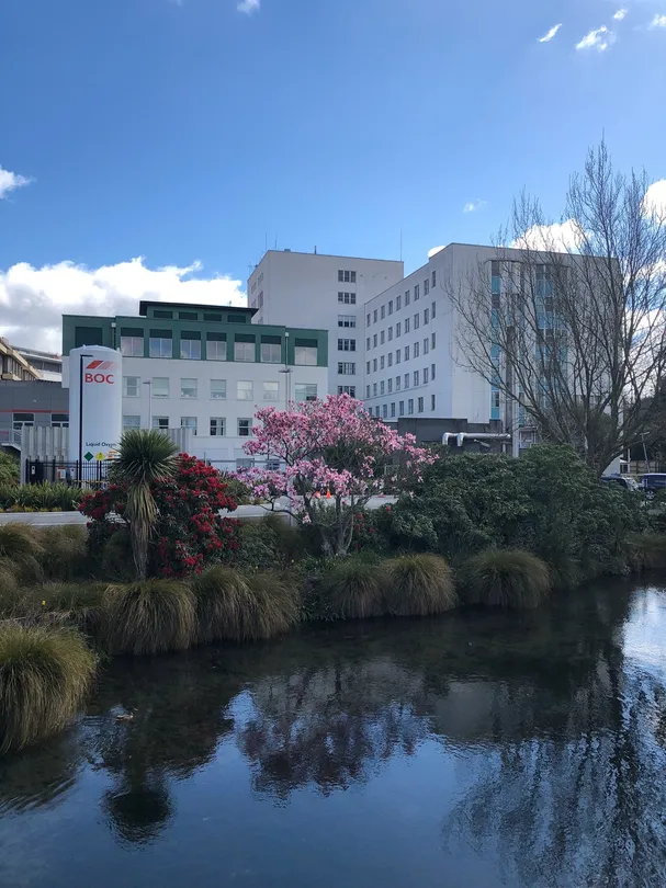 5_Avon River / Ōtākaro