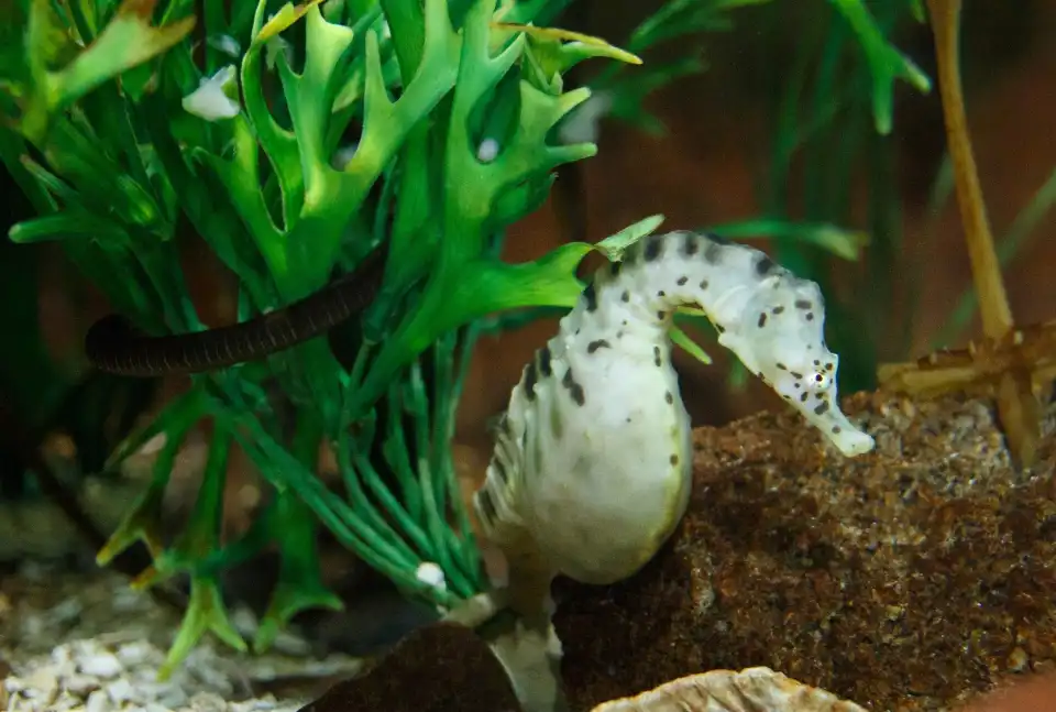 2_Lakes Aquarium