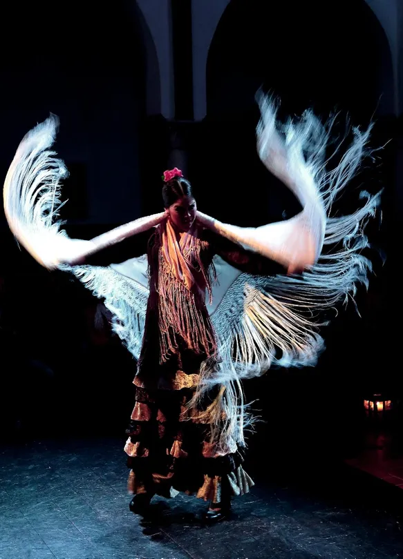 3_La Casa del Flamenco Auditorio Alcantara