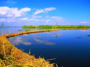 Lac Loktak