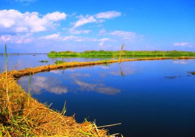 Loktak Lake