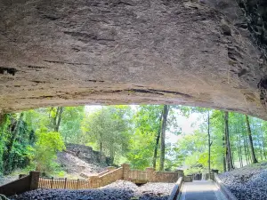 Cathedral Caverns State Park