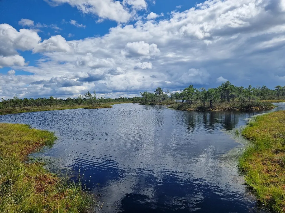 5_Ķemeri National Park