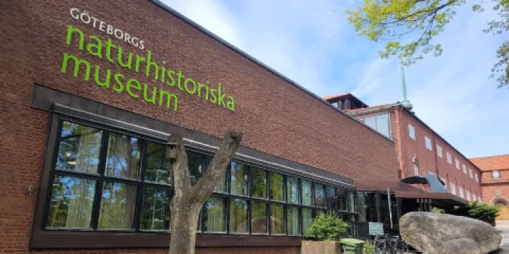 司洛特司克格恩