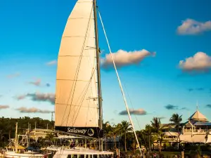 Sailaway Reef & Island Tours