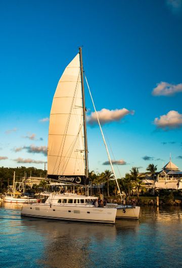 Sailaway Reef & Island Tours