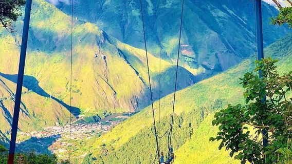 The Flight of the Condor