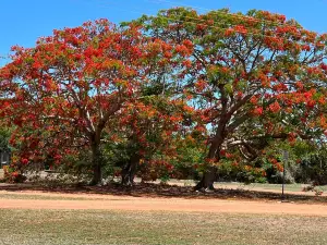 Darwin Military Museum