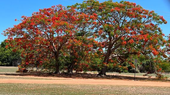 Darwin Military Museum