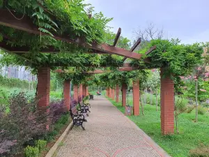 Trabzon Botanical Garden