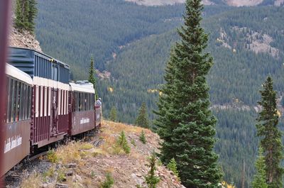 Leadville Railroad