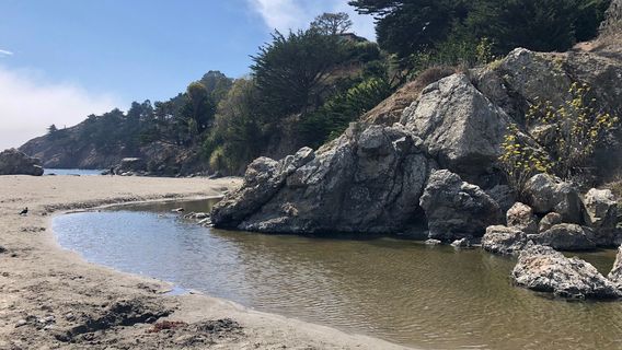 Muir Beach