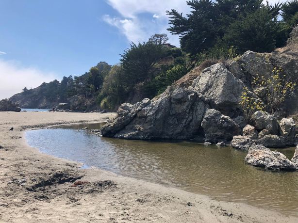 Muir Beach