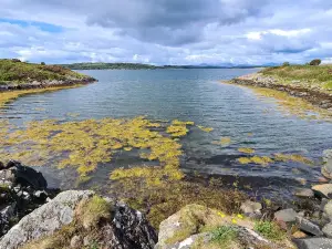Craobh Marina