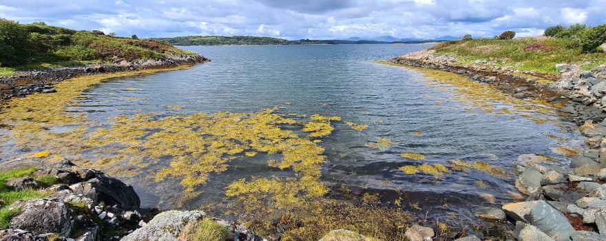 Lochgilphead