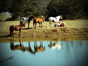 Cloudmont Ski & Golf Resort