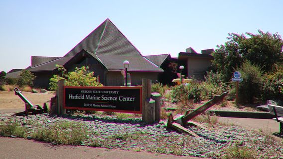 Hatfield Marine Science Center Oregon State University