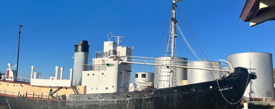 Albany's Historic Whaling Station