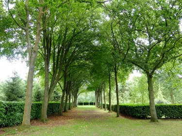 National Trust - Whipsnade Tree Cathedral