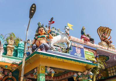 Naga Pooshani Ambal Kovil
