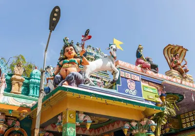 Naga Pooshani Ambal Kovil