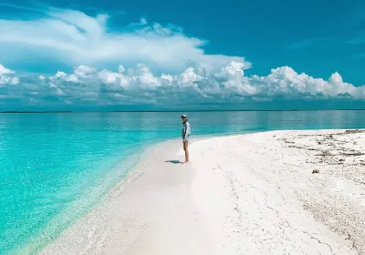 Punta Gorda