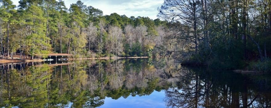Poinsett State Park