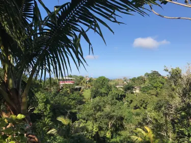 Saint Ann's Bay