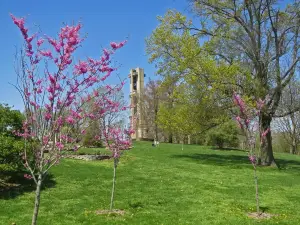 Washington Park Botanical Garden
