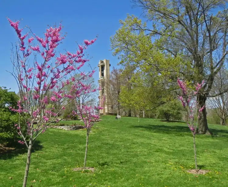 Hotels in der Nähe von Washington Park Botanical Gardens