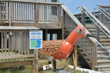DuPont nature center