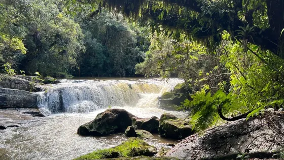 Parque Estadual da Serra do Mar