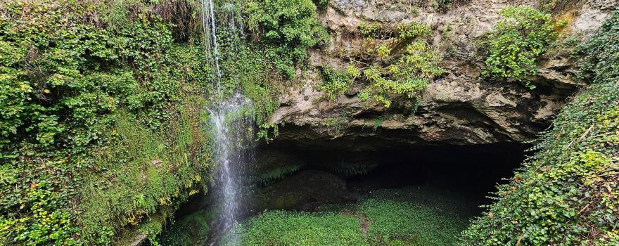 Cave Garden / Thugi