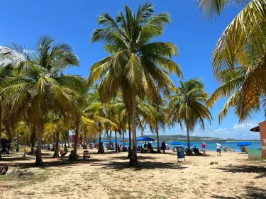 Mata de Platano